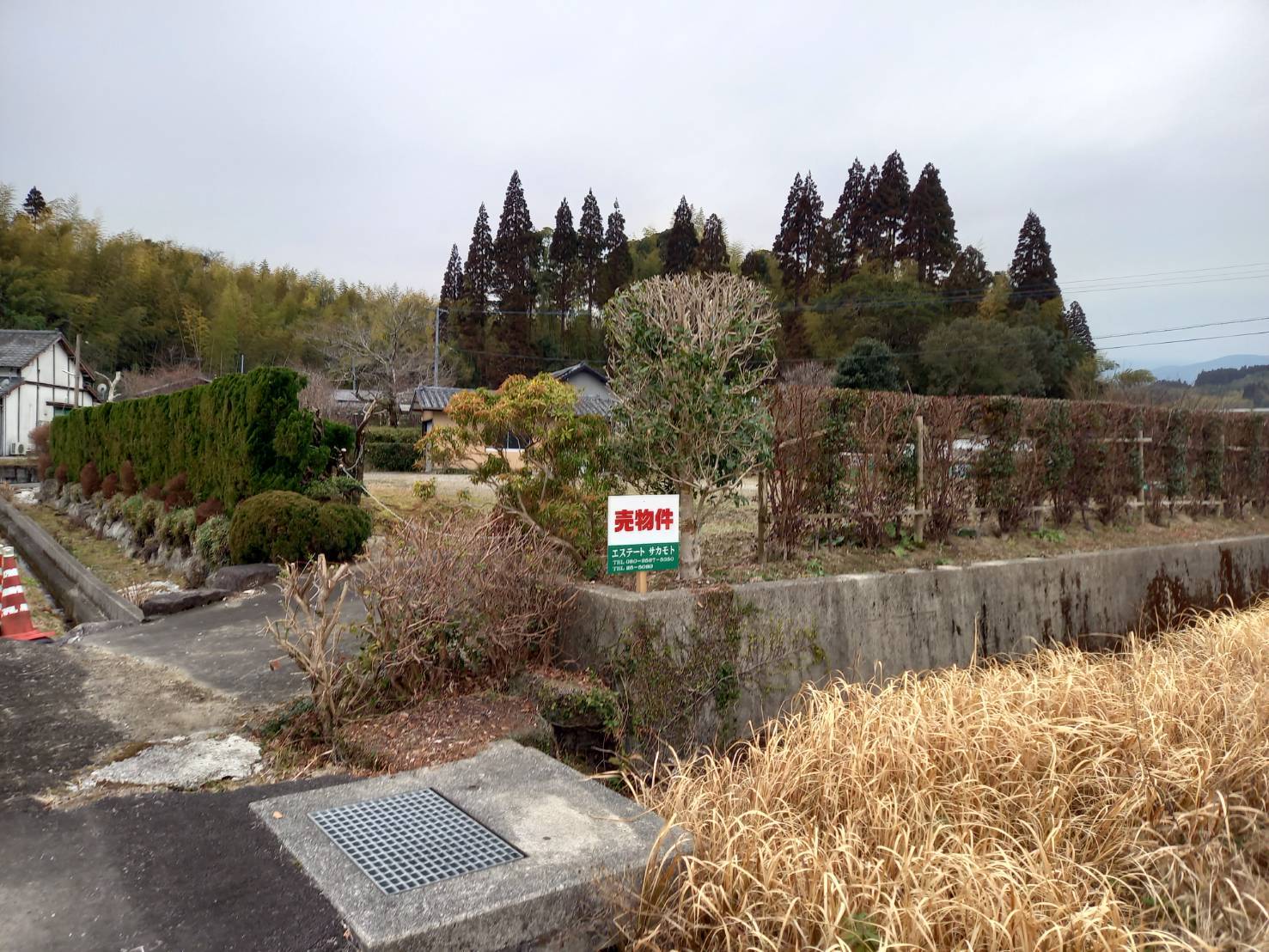 日南市板敷の売り地